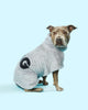 DOG Poncho - Grey