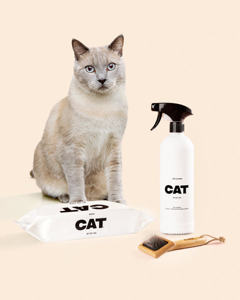 CAT Clean-up Set