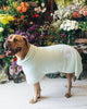 DOG Poncho - Mint