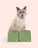 CAT Corner Bowls - Olive